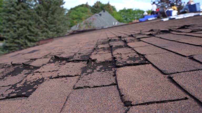 Best Flat Roofing  in Crestwood, IL